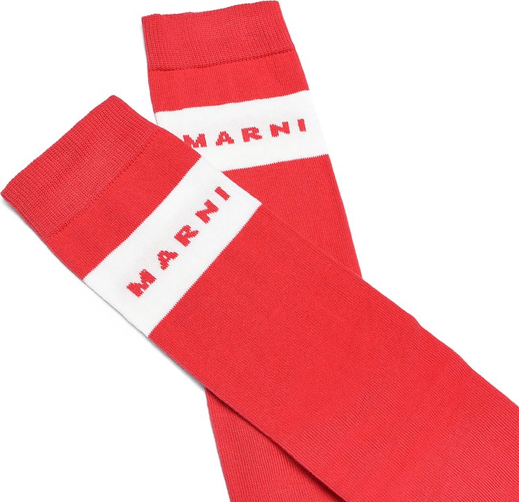 Marni Kids Socks Pink