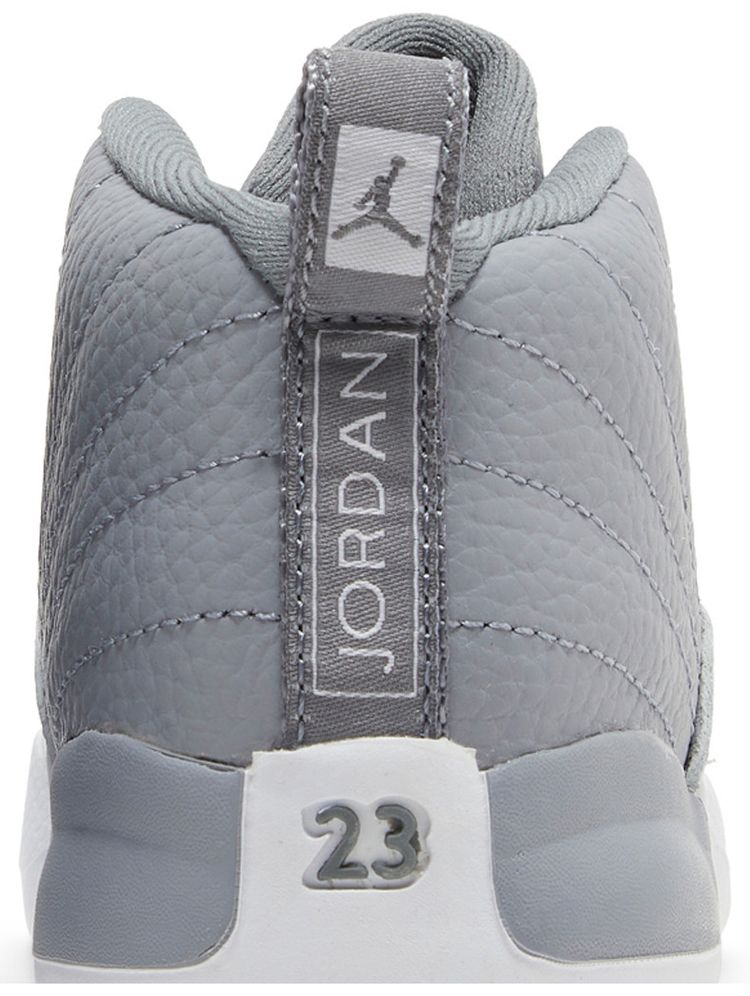 Air Jordan 12 Retro TD Stealth