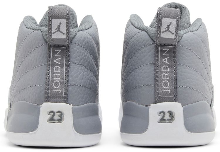 Air Jordan 12 Retro TD Stealth