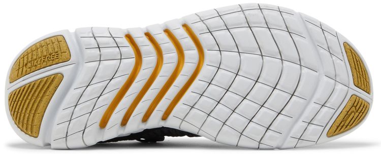 Nike Wmns Free Run 50 Next Nature Dark Smoke Grey Metallic Gold Coin