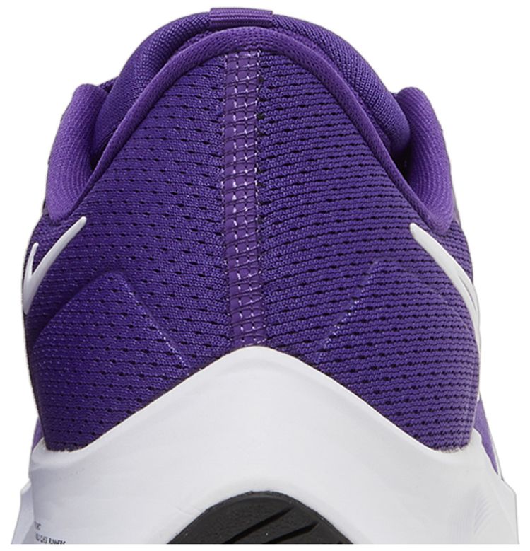 Nike Air Zoom Pegasus 38 TB Court Purple