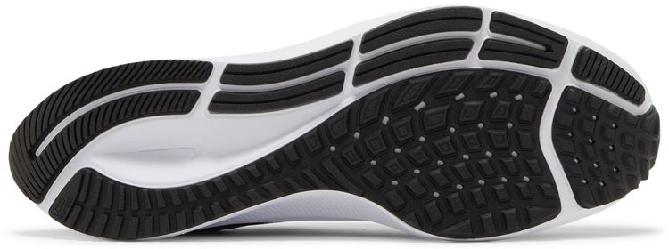 Nike Air Zoom Pegasus 38 TB Court Purple