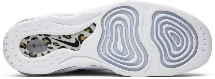 Kith x Nike Air Pippen 1 Chimera