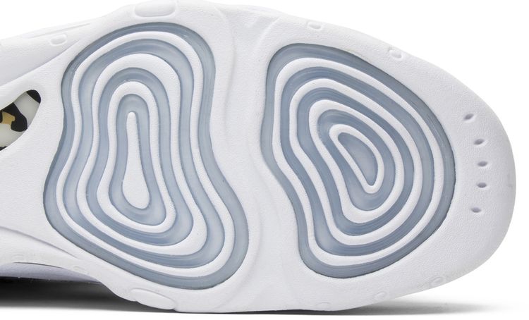 Kith x Nike Air Pippen 1 Chimera