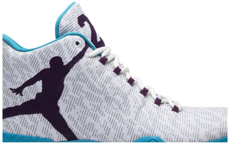 Air Jordan 29 Feng Shui