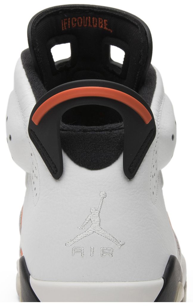 Air Jordan 6 Retro Gatorade