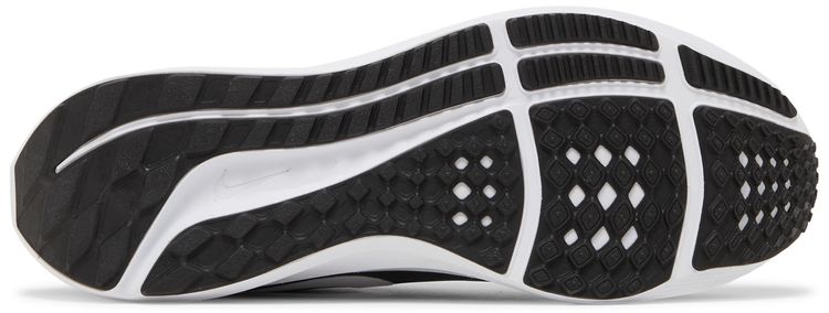 Nike Air Zoom Pegasus 39 Black Dark Smoke Grey