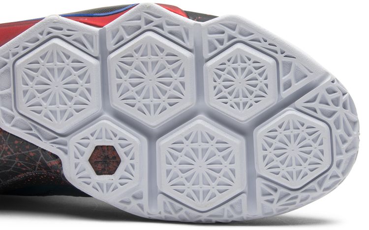 LeBron 12 SE What The LeBron