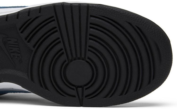 Nike Dunk Low Pro SB Neptune