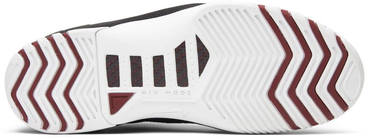 Air Zoom Generation Kings Rook 2004