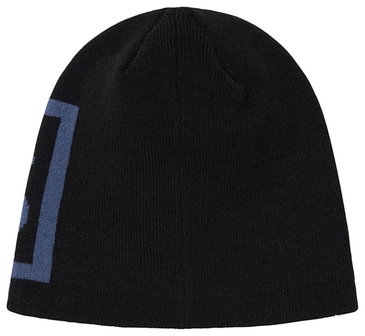 Stussy SS Link Skull Cap Black