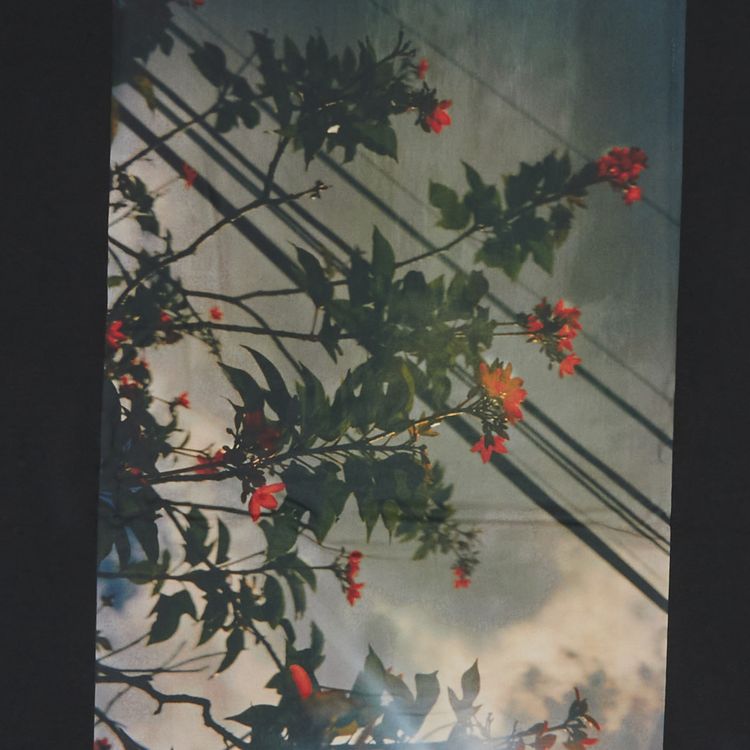 Fear of God Essentials Boxy Photo Series T Shirt Black