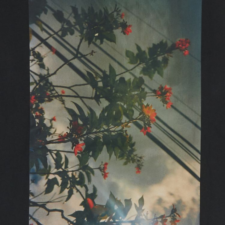 Fear of God Essentials Photo Pullover Hoodie Black