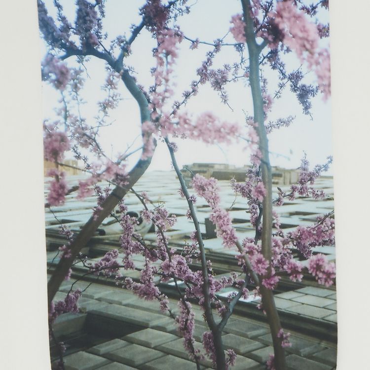 Fear of God Essentials Photo Series Hoodie White