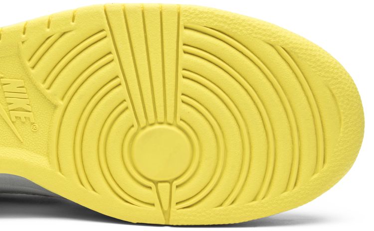 Nike Dunk High Premium Thrashin