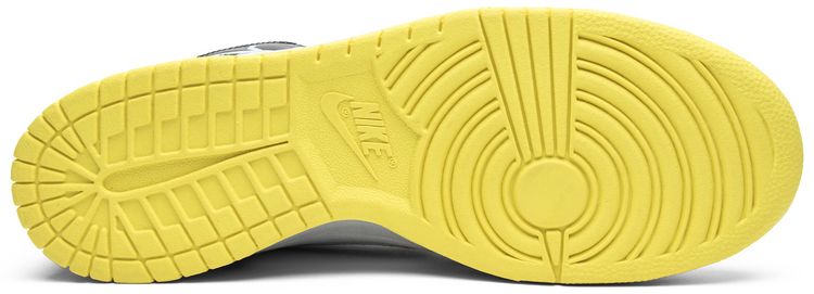 Nike Dunk High Premium Thrashin