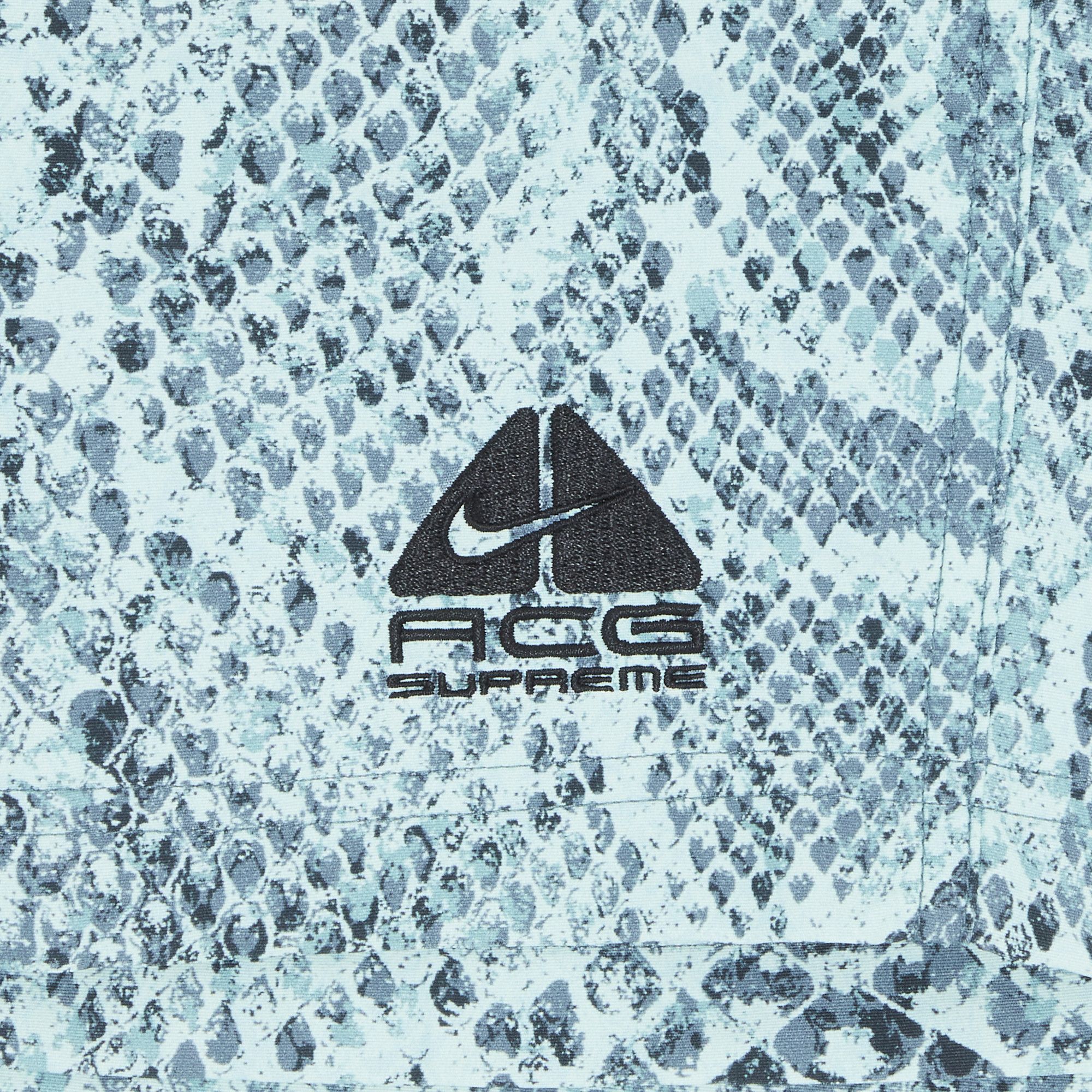 Buy Supreme x Nike ACG Nylon Trail Short 'Mint Snakeskin Buy Supreme x Nike ACG Nylon Trail Short 'Mint Snakeskin