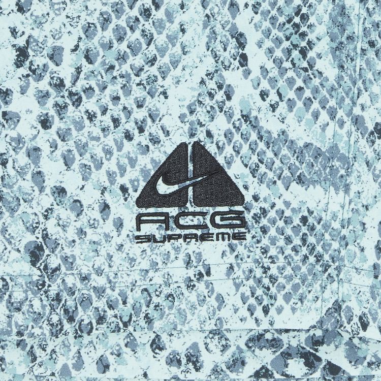 Supreme x Nike ACG Nylon Trail Short Mint Snakeskin
