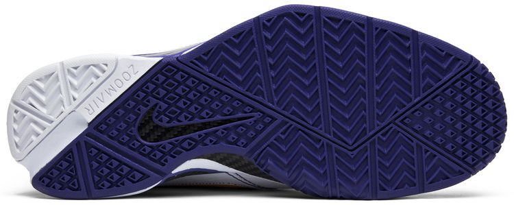 Zoom Kobe 1 Protro Final Seconds