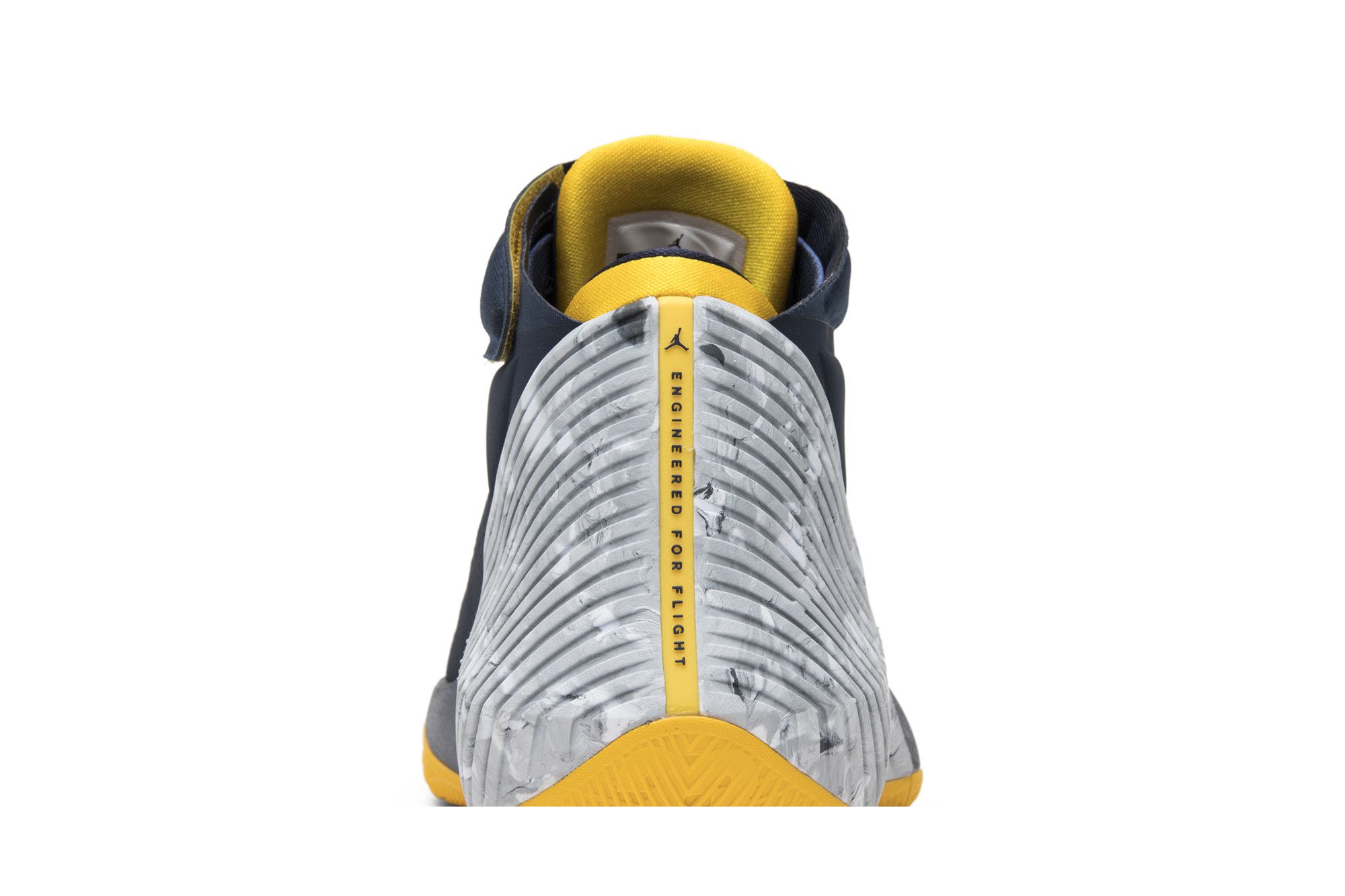 Michigan jordan basketball shoes 2018 sale