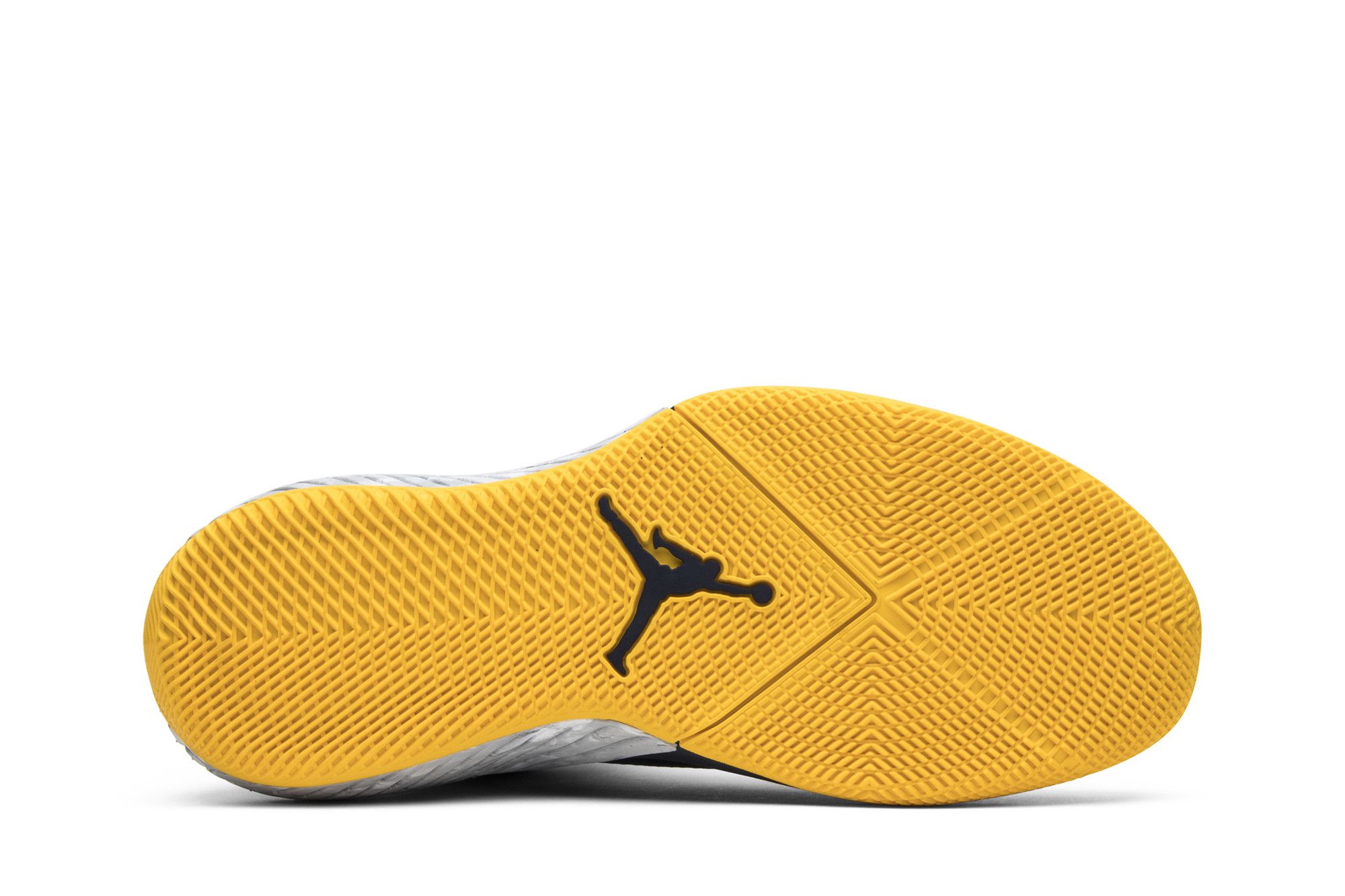 Size 10.0 Jordan Why Not Zer0.1 Michigan