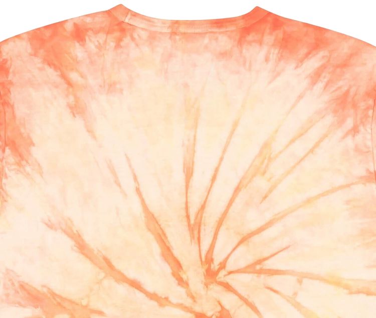 Champion Reverse Weave Tie Dye Short Sleeve T Shirt Multicolor