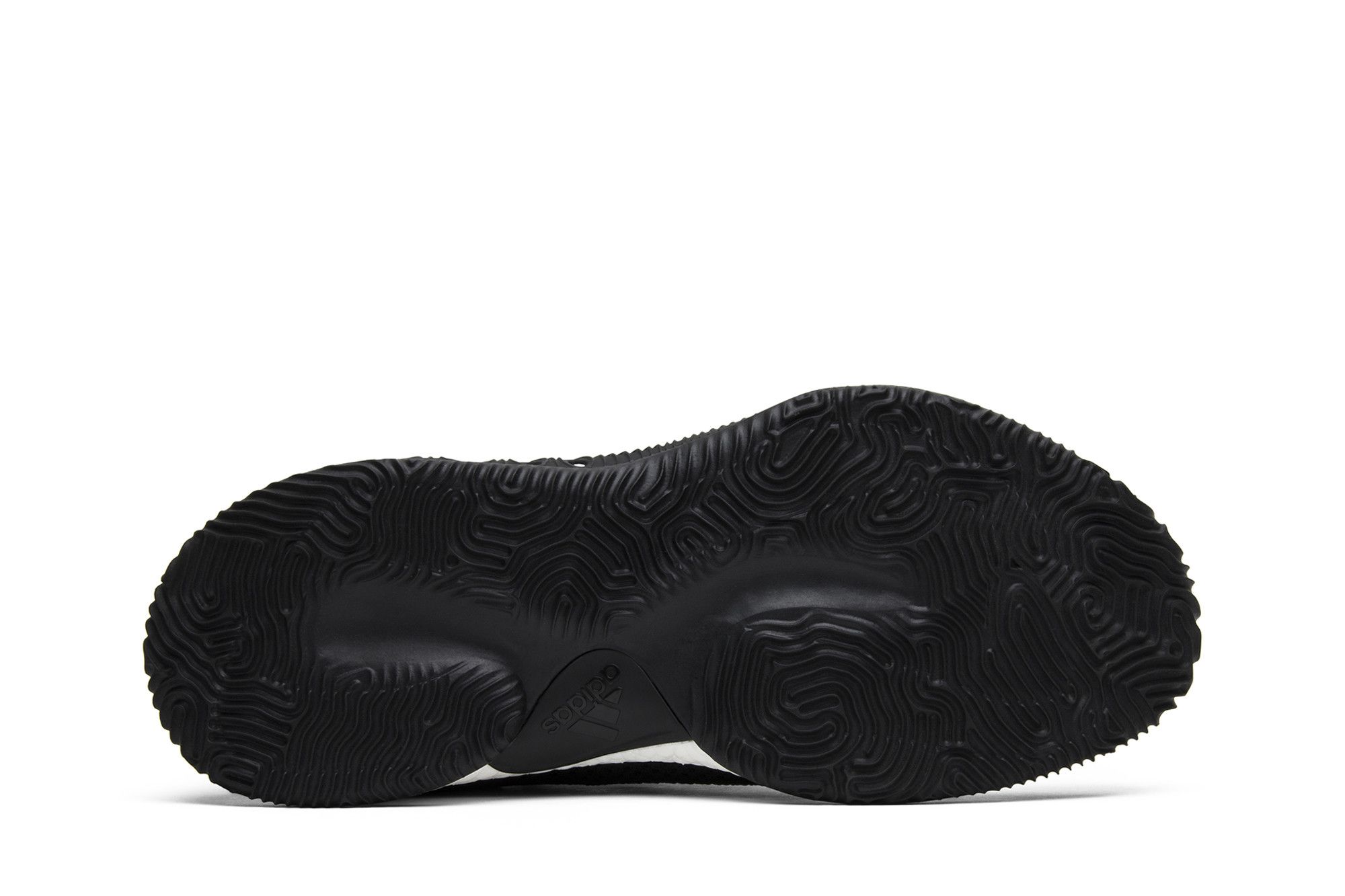 Size 8.0 Crazy Explosive Low Day One