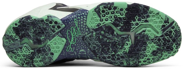 LeBron 11 All Star   Gator King
