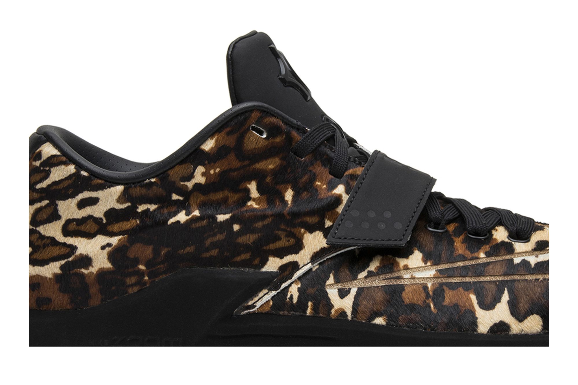 Kd 7 longhorn clearance