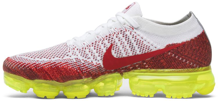 Nike Air VaporMax iD Air Max Day