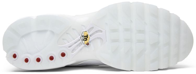 Nike Air Max Plus International Flag