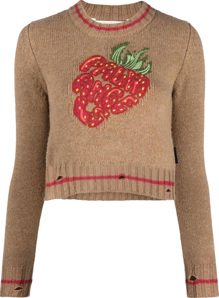 Paws Circle Goochi Strawberry Sweater