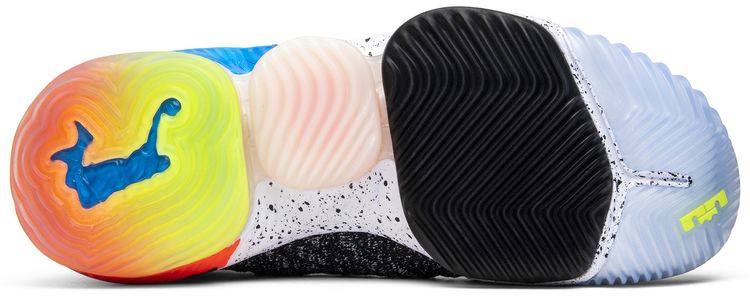 Nike LeBron 16 What The