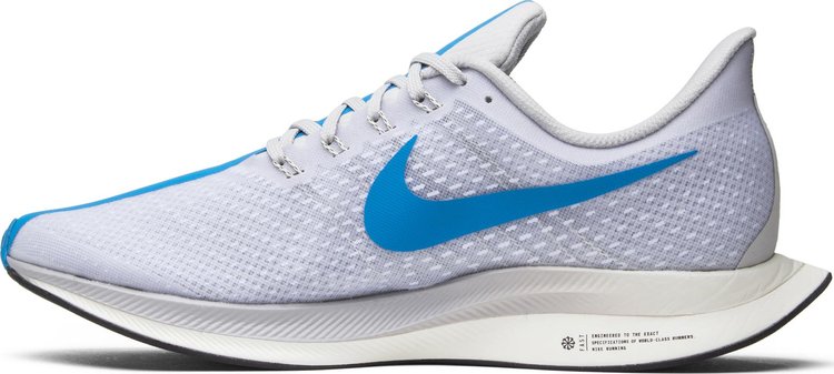 Zoom Pegasus Turbo Blue Hero