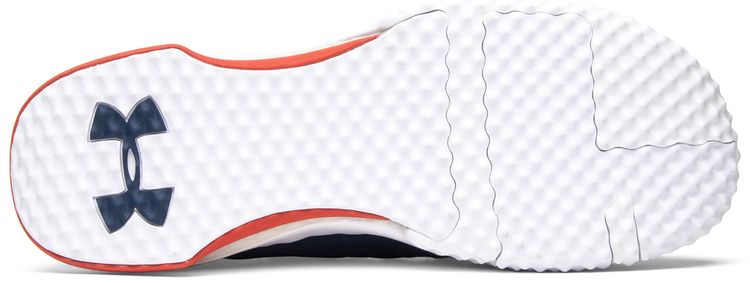 Under Armour Project Rock 1 Blue