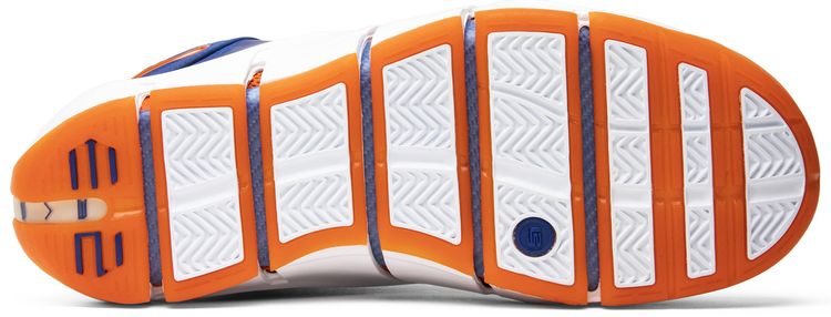 Nike Zoom LeBron 4 Birthday