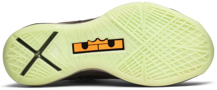 Nike LeBron 10 Reverse Championship Pack Sample