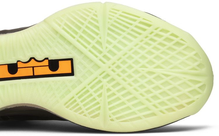 Nike LeBron 10 Reverse Championship Pack Sample