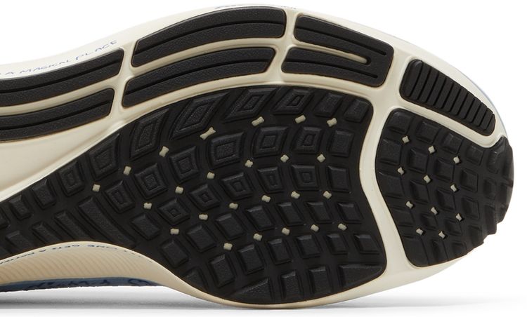 Nathan Bell x Nike Air Zoom Pegasus 38 AIR Run To A Magical Place   Aluminum