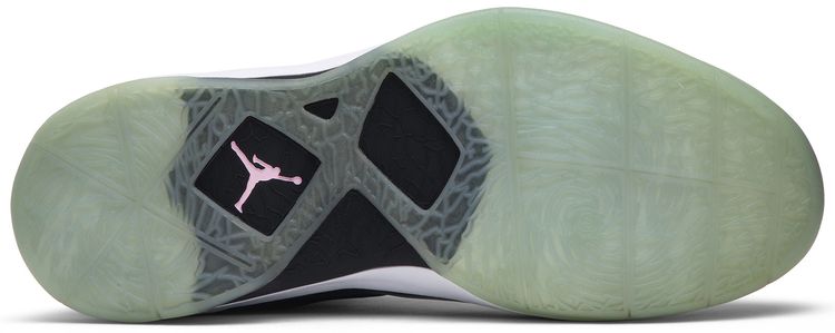 Air Jordan Fly Wade South Beach