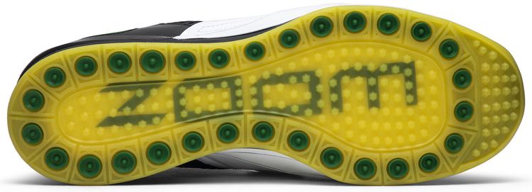 Zoom Revis Oregon Ducks PE
