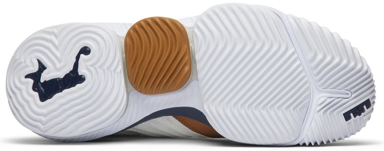 LeBron 16 Air Trainer Medicine Ball