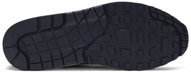 DeAaron Fox x Nike Air Max 1 Swipa