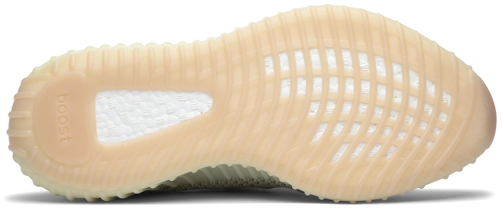 antlia yeezy