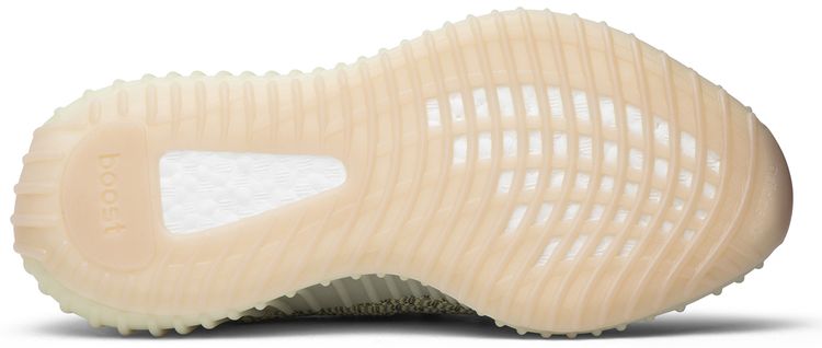 Adidas Yeezy Boost 350 V2 Antlia Reflective