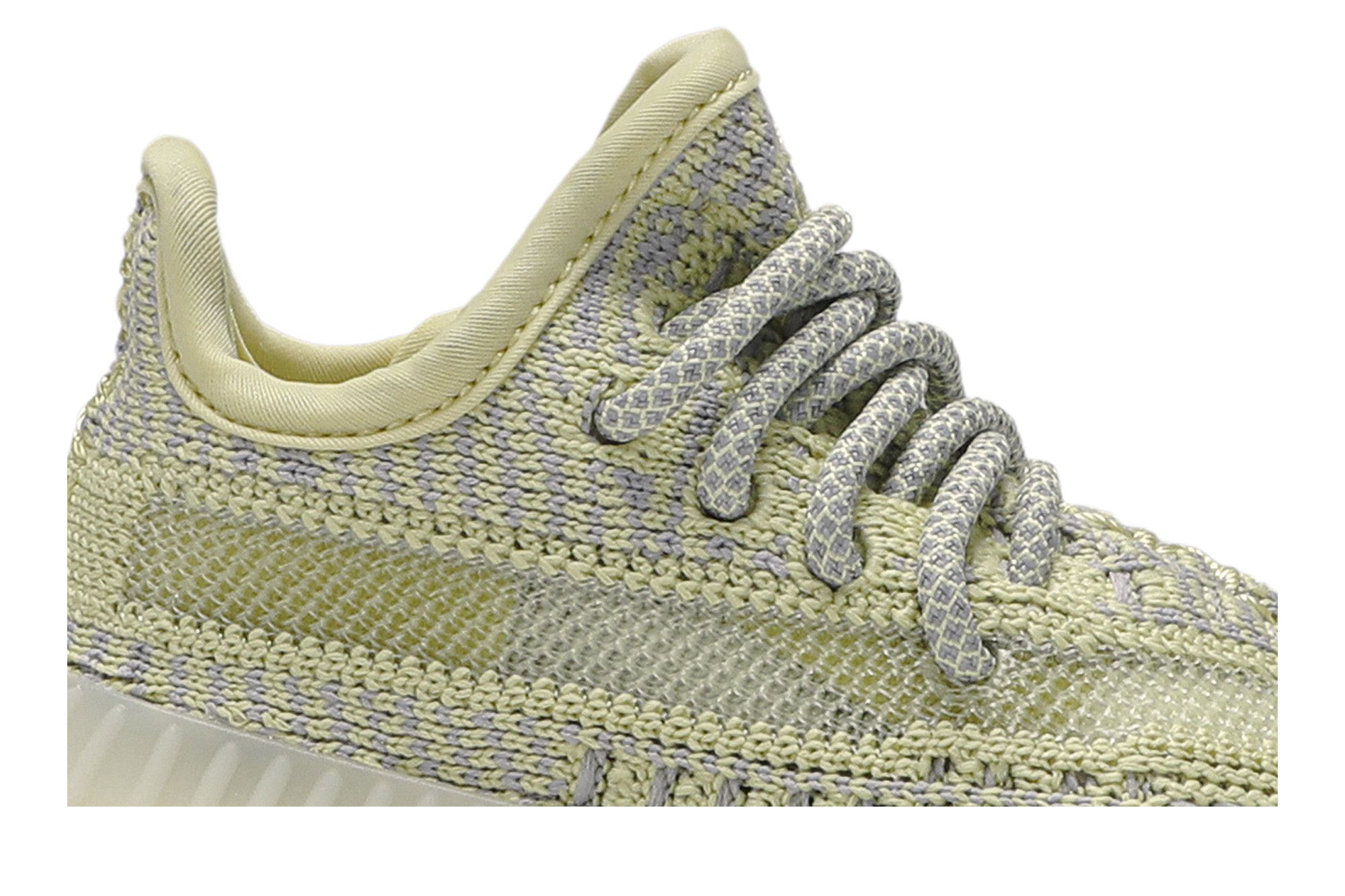 Antlia yeezy on feet hotsell