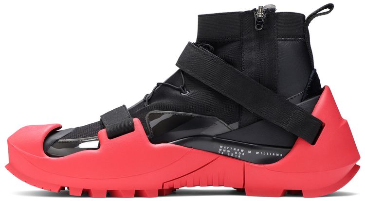 Matthew M Williams x Free Trainer 3 Bred