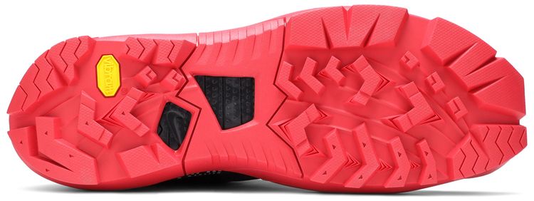 Matthew M Williams x Free Trainer 3 Bred