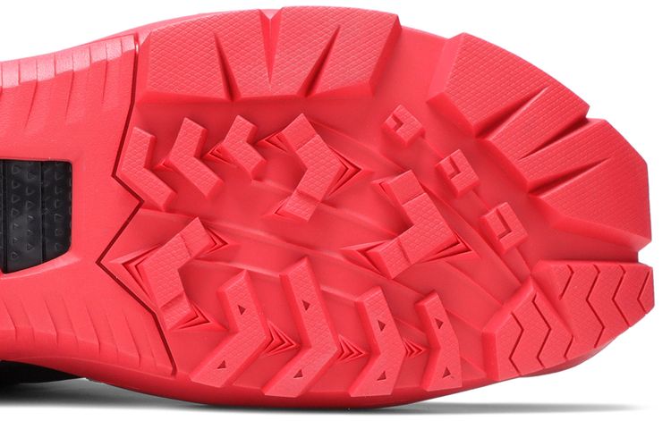 Matthew M Williams x Free Trainer 3 Bred