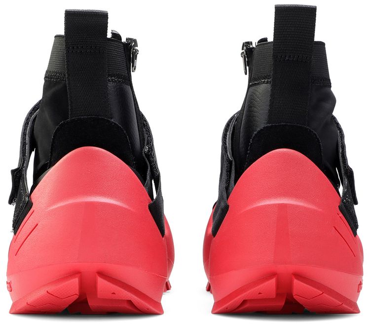 Matthew M Williams x Free Trainer 3 Bred